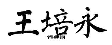翁闓運王培永楷書個性簽名怎么寫