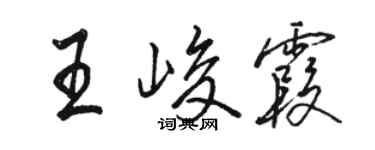 駱恆光王峻霞行書個性簽名怎么寫