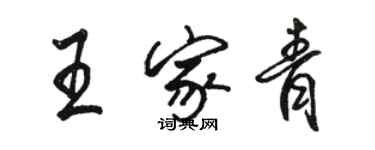 駱恆光王家青行書個性簽名怎么寫