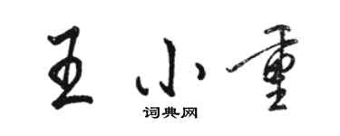 駱恆光王小重行書個性簽名怎么寫