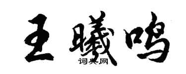 胡問遂王曦鳴行書個性簽名怎么寫