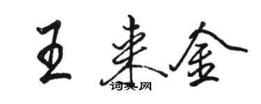 駱恆光王來金行書個性簽名怎么寫