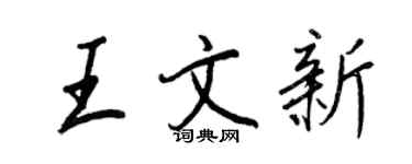 王正良王文新行書個性簽名怎么寫
