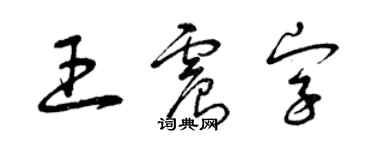 曾慶福王震字草書個性簽名怎么寫