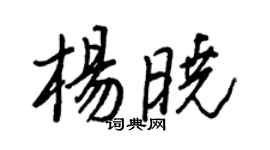 王正良楊曉行書個性簽名怎么寫