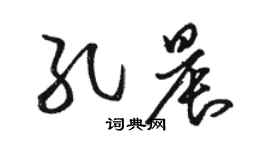 駱恆光孔晨草書個性簽名怎么寫