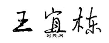 曾慶福王宜棟行書個性簽名怎么寫