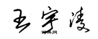 朱錫榮王宇凌草書個性簽名怎么寫