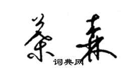 梁錦英葉森草書個性簽名怎么寫