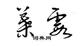 曾慶福葉霞草書個性簽名怎么寫
