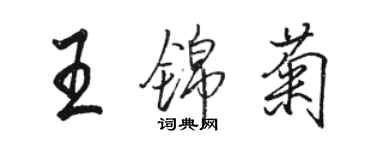 駱恆光王錦菊行書個性簽名怎么寫