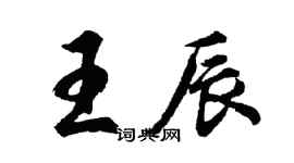 胡問遂王辰行書個性簽名怎么寫