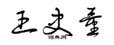 曾慶福王史量草書個性簽名怎么寫