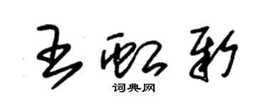 朱錫榮王虹新草書個性簽名怎么寫