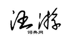 朱錫榮汪游草書個性簽名怎么寫