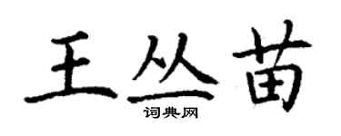 丁謙王叢苗楷書個性簽名怎么寫