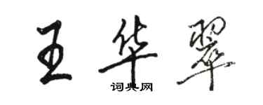 駱恆光王華翠行書個性簽名怎么寫