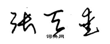 朱錫榮張天愛草書個性簽名怎么寫