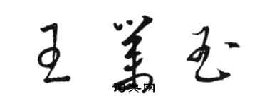 駱恆光王業玉草書個性簽名怎么寫