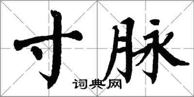 翁闓運寸脈楷書怎么寫