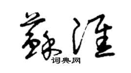曾慶福蘇淮草書個性簽名怎么寫
