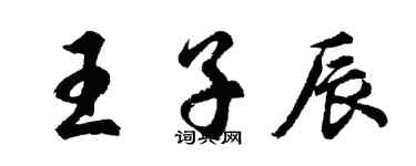 胡問遂王子辰行書個性簽名怎么寫