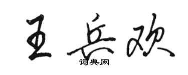 駱恆光王兵歡行書個性簽名怎么寫