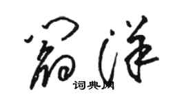 駱恆光閻洋草書個性簽名怎么寫