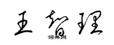 梁錦英王智理草書個性簽名怎么寫