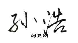 駱恆光孫浩行書個性簽名怎么寫