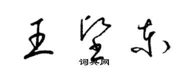 梁錦英王堅東草書個性簽名怎么寫