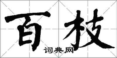 翁闓運百枝楷書怎么寫