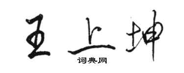 駱恆光王上坤行書個性簽名怎么寫