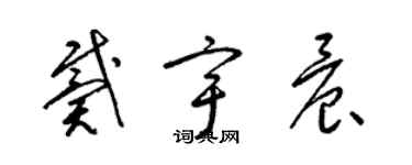 梁錦英戴宇晨草書個性簽名怎么寫