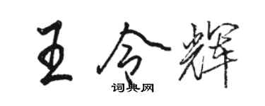 駱恆光王令輝行書個性簽名怎么寫
