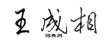 駱恆光王成相行書個性簽名怎么寫