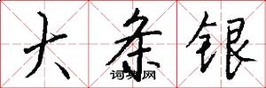 大條銀怎么寫好看