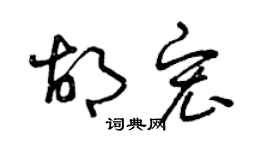 曾慶福胡宏草書個性簽名怎么寫