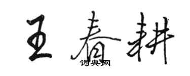 駱恆光王春耕行書個性簽名怎么寫