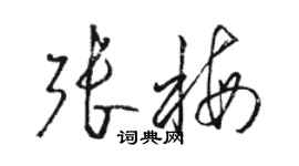 駱恆光張梅草書個性簽名怎么寫