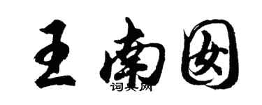 胡問遂王南囡行書個性簽名怎么寫