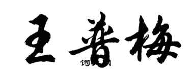 胡問遂王普梅行書個性簽名怎么寫