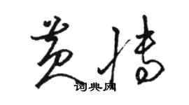 駱恆光黃博草書個性簽名怎么寫