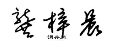 朱錫榮龔梓晨草書個性簽名怎么寫