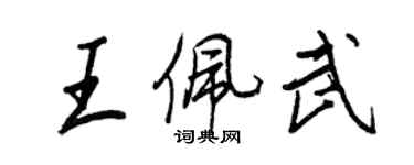 王正良王佩武行書個性簽名怎么寫