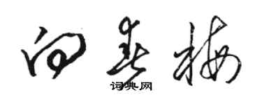 駱恆光向春梅草書個性簽名怎么寫