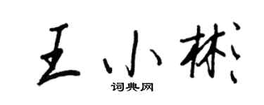 王正良王小彬行書個性簽名怎么寫