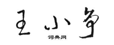 駱恆光王小爭草書個性簽名怎么寫