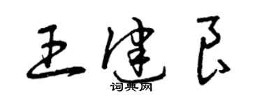 曾慶福王健良草書個性簽名怎么寫