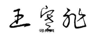 曾慶福王寒非草書個性簽名怎么寫